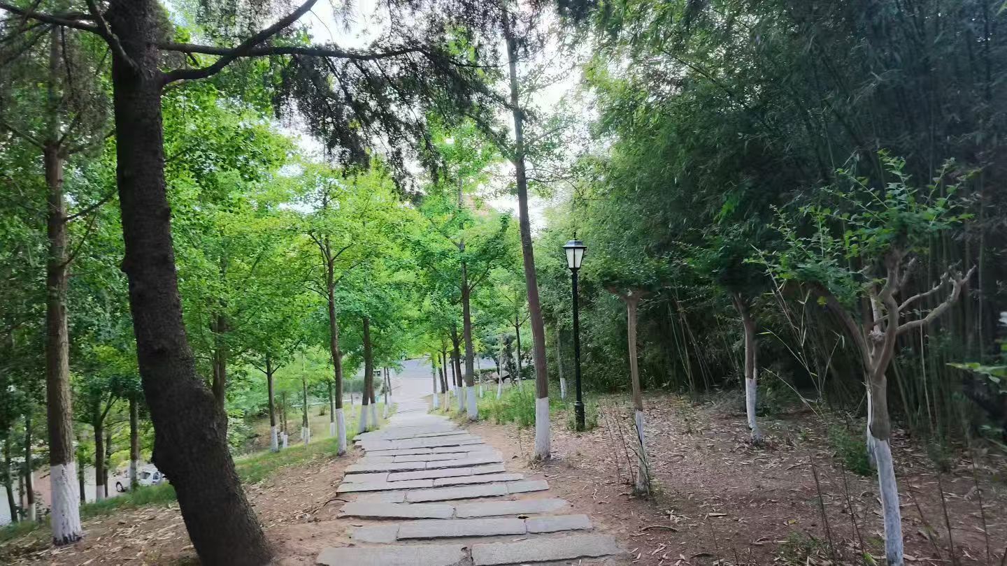 海大美景